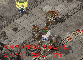 �¶��޴�½��Ѫ����˽����ô�棿���ֿ������ֹ���