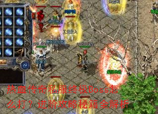 ��Ѫ����˽���ռ�Boss��ô�򣿽��׹����ؼ�ȫ����