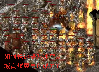 ��ο���������ѩ���Ǹ߱����ɫս����