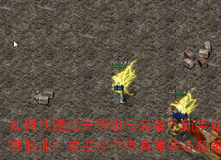 ��ο��������ȼ���װ�����������ѡ��ְҵ����ռɳ�Ϳ�����Щ�ر����ԣ�