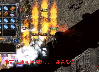 ���淨ʦ���Ӧ�Լ�Ѫװ������