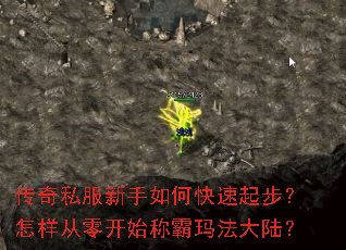 ����˽��������ο����𲽣��������㿪ʼ�ư��귨��½��