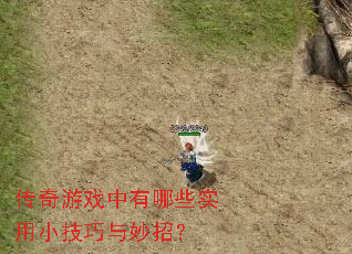 ������Ϸ������Щʵ��С���������У�