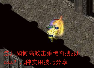 ��ʦ��θ�Ч��ɱ�����ѷ�boss������ʵ�ü��ɷ���