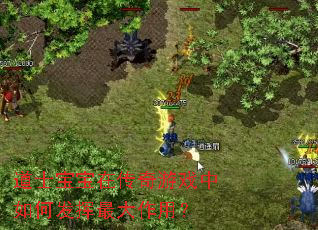 ��ʿ�����ڴ�����Ϸ����η���������ã�