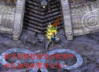 �����������Ӧ��΢�䴫��˽���е�ج��С�֣�