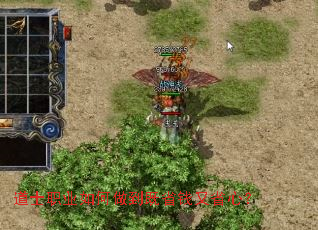 道士职业如何做到既省钱又省心? 道士职业如何做到既省钱又省心?