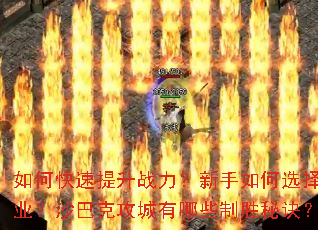 如何快速提升战力?新手如何选择职业?沙巴克攻城有哪些制胜秘诀? 如何快速提升战力?新手如何选择职业?沙巴克攻城有哪些制胜秘诀?