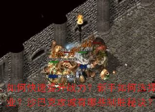 如何快速提升战力?新手如何选择职业?沙巴克攻城有哪些制胜秘诀? 如何快速提升战力?新手如何选择职业?沙巴克攻城有哪些制胜秘诀?