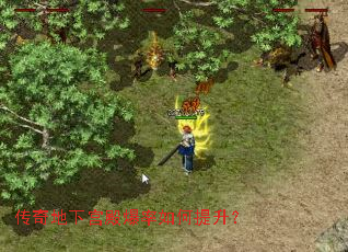 ������¹�������������