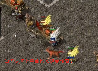 ��ο�����������05��䴫�棿