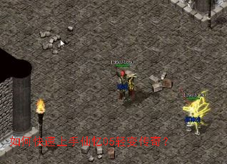 ��ο�����������05��䴫�棿