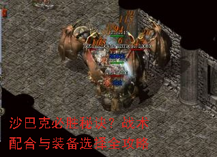 ɳ�Ϳ˱�ʤ�ؾ���ս�������װ��ѡ��ȫ����