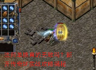 ��ʦ��������޵����¿�����SFʵս���Խ���