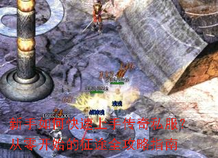 ������ο������ִ���˽�������㿪ʼ����;ȫ����ָ��