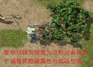 ��������Ϊ�γ�Ϊ��ʦ�ر�����������������������ʵս��ֵ