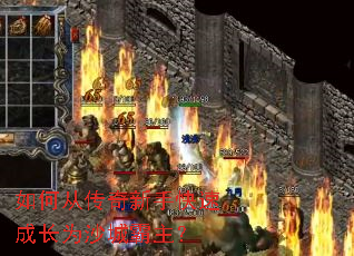 ��δӴ������ֿ��ٳɳ�Ϊɳ�ǰ�����