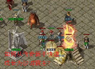 ��δӴ������ֿ��ٳɳ�Ϊɳ�ǰ�����