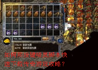 如何用按键精灵脚本快速下载传奇游戏攻略? 如何用按键精灵脚本快速下载传奇游戏攻略?