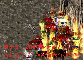 ����������ο�����������Ʒװ����ô��ȡ���񼶼�������Щ��