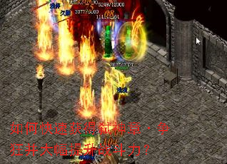 ��ο��ٻ��߱���¡����񲢴������ս������