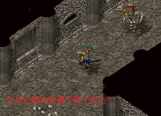 这把武器究竟属于哪个职业? 这把武器究竟属于哪个职业?