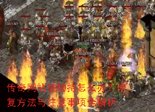 ������վ���ٳ���ô�죿�ָ�������ע������ȫ����