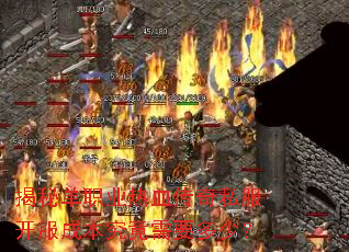 ���ص�ְҵ��Ѫ����˽�������ɱ�������Ҫ���٣�