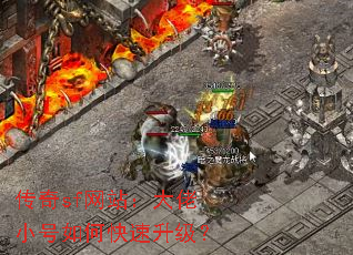 ����sf��վ������С����ο���������