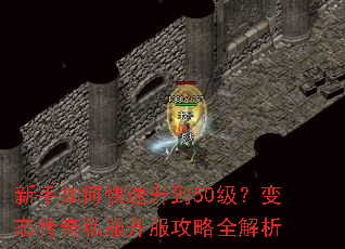 ������ο�������50������̬����˽����������ȫ����