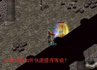 ���������ο��������ȼ���