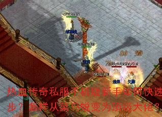 ��Ѫ����˽���ֻ���������ο����𲽣������Ӳ����ɱ�Ϊ�������У�