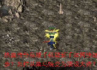 ��Ѫ����˽���ֻ���������ο����𲽣������Ӳ����ɱ�Ϊ�������У�