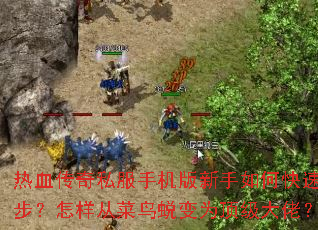 ��Ѫ����˽���ֻ���������ο����𲽣������Ӳ����ɱ�Ϊ�������У�