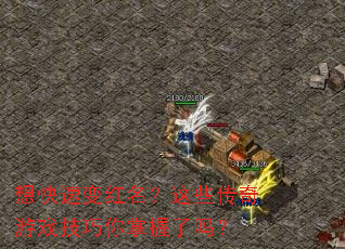 ����ٱ��������Щ������Ϸ��������������