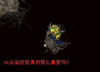 pkʵս���������ô��Ҫ��