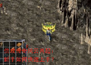 ���������������������ο������֣�