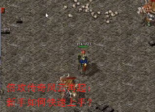 ���������������������ο������֣�