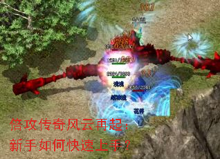 ���������������������ο������֣�