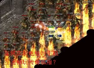 ���ʵ�ֵ������ֻ���ͨ���洫��˽����