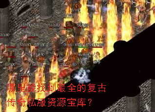 �������ҵ���ȫ�ĸ��Ŵ���˽����Դ���⣿