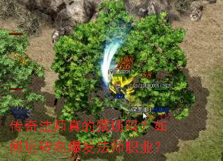 ���淨ʦ�������������ת�߱�����ʦְҵ��