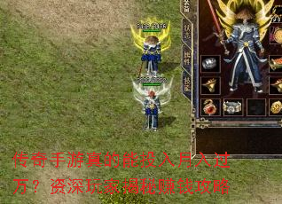 �������������Ͷ���������������ҽ���׬Ǯ����