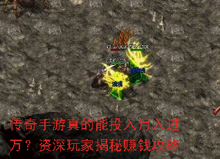 �������������Ͷ���������������ҽ���׬Ǯ����