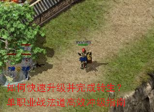 ��ο������������ת������ְҵս������Ч�弶ָ��