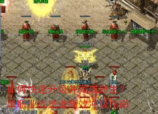 ��ο������������ת������ְҵս������Ч�弶ָ��