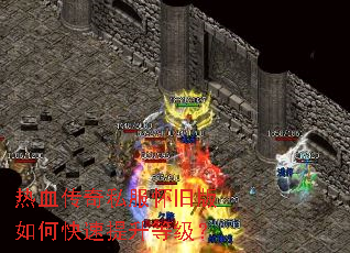 ��Ѫ����˽�����ɰ���ο��������ȼ���