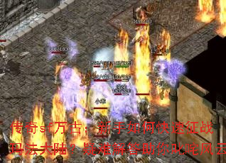 ����sf��ţ�������ο�����ս�귨��½�����ѽ������߳�����