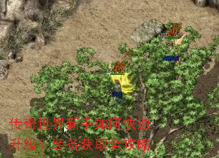 ��������������ο���������װ����ȡȫ����