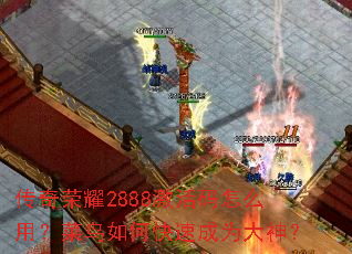 ������ҫ2888��������ô�ã�������ο��ٳ�Ϊ����
